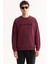 Erkek Mürdüm Bisiklet Yaka Pamuklu Bi-Stretch Baskılı Regular Fit Sweatshirt A52Y1249 5