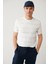 Erkek Ekru Bisiklet Yaka Rayon Çizgili Triko Regular Fit T-Shirt A41Y5031 2