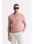 Erkek Pembe Polo Yaka Viskon Karışımlı Basic Triko Regular Fit T-Shirt B005120 1