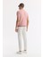 Erkek Pembe Polo Yaka Viskon Karışımlı Basic Triko Regular Fit T-Shirt B005120 4