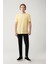 Erkek Sarı Bisiklet Yaka Bi-Stretch Soft Touch Basic Regular Fit T-Shirt B001031 5