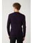 Erkek Mürdüm Bisiklet Yaka Tüylenmeyen Triko Regular Fit Kazak E005000 4