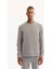Erkek Gri Bisiklet Yaka Soft Touch Baskılı Regular Fit Sweatshirt A52Y1334 1