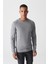 Erkek Gri Bisiklet Yaka Tüylenmeyen Triko Regular Fit Kazak E005000 1