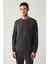 Erkek Antrasit Bisiklet Yaka Baskılı Soft Touch Regular Fit Sweatshirt A41y1224 3