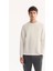 Erkek Ekru Bisiklet Yaka Viskon Karışımlı Bi-Stretch Basic Regular Fit Sweatshirt B001081 1