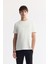 Erkek Ekru Bisiklet Yaka Baskılı Bi-Stretch İnterlok Regular Fit T-Shirt A51Y1001 1