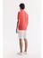 Erkek Mercan Kıvrılmaz Polo Yaka %100 Pamuk Basic Regular Fit T-Shirt B001032 4