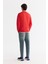 Erkek Kırmızı Bisiklet Yaka Pamuklu Şardonlu Baskılı Regular Fit Sweatshirt B001033 4