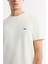 Erkek Ekru Bisiklet Yaka Bi-Stretch Baskılı Regular Fit T-Shirt B001040 2