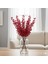 Yılbaşı Kokina Çiçeği 70 cm (10 Adet) 7