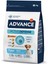 Nrtmsa Advance Dog Puppy Protect Mını 3 Kg 2