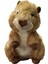 Peluş 23CM Oturan Sincap Peluş 1