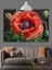 Kırmızı Gelincik Çiçek Resmi Dekoratif Kanvas - Mdf Ahşap Tablo 3