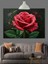 Kırmızı Gül Yakın Çekim Dekoratif Kanvas - Mdf Ahşap Tablo 3