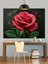 Kırmızı Gül Yakın Çekim Dekoratif Kanvas - Mdf Ahşap Tablo 4