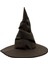 Harry Potter Seçmen Şapka Yetişkin Boy 1