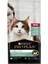 Liveclear Hindili Kısırlaştırılmış Yetişkin Kedi Maması 7 kg 2