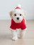 Yılbaşı Ağac Premiumı Kırmızı Polar Köpek Kıyafeti | Kapüşonlu Noel Köpek Sweatshirt | Küçük Irklar Için 4
