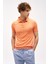 Mercan Slim Fit Dar Kalıp Polo Yaka Düz Kısa Kollu Triko Tişört 2