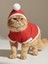 Kartopu Yılbaşı Kedi Kıyafeti Premium Kırmızı Polar | Kapüşonlu Noel Kedi Kostümü | Kurabiye Temalı 5