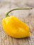 Hotbynature Habanero Lemon Pepper / 350.000 Scoville - Gerçek Taze Acı Biber 3