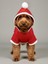 Santa's Bag Yılbaşı Köpek Kıyafeti Premium Kırmızı Polar | Kapüşonlu Noel Köpek Kostümü | Küçük Irklar Için 4