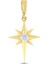 14 Ayar Taşlı Kutup Yıldızı Altın Kolye Ucu 1
