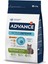 Nrtmsa Advance Cat Young Sterılızed 1,5 Kg 2