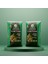 Peat Moss 5l X2 | Organik Torf Toprak | Saksı ve Fide Için | Avantaj Paket 1