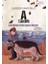 A Takımı Iz Sürücü Köpekler 6 - Çokbilmiş Kahraman Oluyor 1