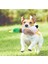 Sesli Ördek Şekilli Peluş Köpek Oyuncağı 1