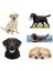 Köpekler Telefon Laptop Notebook Tablet Defter Matara Stiker Etiket ST2333 1