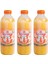 Dondurulmuş Sıkma Portakal Suyu 3 Adet x 950 ml. 1