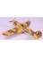 02807 1/48 Ölçek, Curtiss P-40B Warhawk Savaş Uçağı Plastik Model Kiti 10