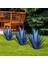 Tekila Rustik Heykel Metal Agave Bitki Ev Dekor Rustik El Boyalı Metal Agave Bahçe Süsleri Açık, 35CM (Yurt Dışından) 2