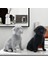 Nordic Modern Lüks Yeni Ürün Noktası Boncuklar Labrador Ev Hayvan Köpek Dekorasyon Reçine Zanaat Süsleri B (Yurt Dışından) 5