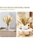 Pampas Çim Dekor 65PCS 17.5 Inç Doğal Kurutulmuş Pampas Bitkileri -Kuffy Kurutulmuş Çiçekler ve Beyaz Pampas ve Doğal Reed Çim (Yurt Dışından) 2