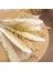 Pampas Çim Dekor 65PCS 17.5 Inç Doğal Kurutulmuş Pampas Bitkileri -Kuffy Kurutulmuş Çiçekler ve Beyaz Pampas ve Doğal Reed Çim (Yurt Dışından) 5