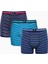 Erkek Pamuklu Bold Stripe Çok Renkli 3lü Boxer 6