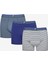 Erkek Pamuklu Dotted 3lü Çok Renkli Boxer 6