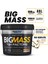 Bigjoy Bigmass Gh Factors 5000 gr Karbonhidrat Tozu 2