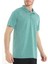Polo T-Shirt Dıgna Yeşil 1