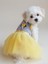 Sevimli Fare Sunny Tütü Köpek Kıyafeti | Sarı Tütülü Elbise | Küçük Irk Köpekler Için 5