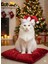 Kedi Noel Yılbaşı Parti Şapka Papyonlu 1