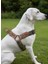 Köpek Göğüs Tasması Orta Irk Ayarlamalı Kolon Kordon Deri Başlı Dog Harness Kamuflaj & Siyah 1