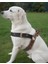 Köpek Göğüs Tasması Orta Irk Ayarlamalı Kolon Kordon Deri Başlı Dog Harness Kamuflaj & Siyah 3