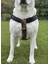 Köpek Göğüs Tasması Orta Irk Ayarlamalı Kolon Kordon Deri Başlı Dog Harness Kamuflaj & Siyah 5