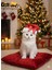 Yavru Kedi Noel Yılbaşı Parti Şapkası 1