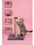 Kedi Tırmalama Tahtası 42 cm – 30X30 Taban Doğal Sisal Ipli Güçlü Gövde 2